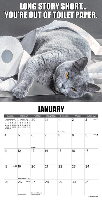 Cat Astrophe 2026 Mini Wall Calendar