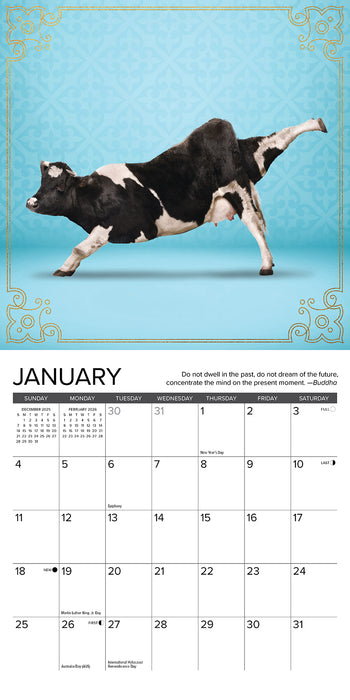 Cow Yoga 2026 Mini Wall Calendar