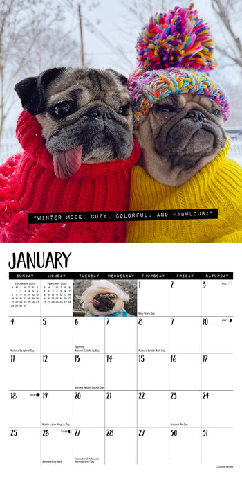 Doug the Pug 2026 Mini Wall Calendar