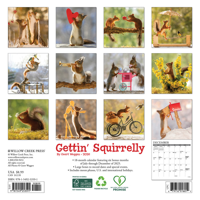 Gettin' Squirrelly 2026 Mini Wall Calendar