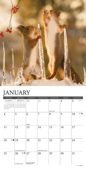 Gettin' Squirrelly 2026 Mini Wall Calendar