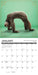 Sloth Yoga 2026 Mini Wall Calendar
