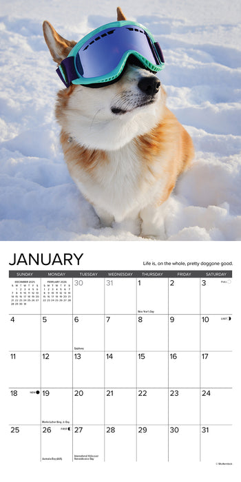 What Dogs Teach Us 2026 Mini Wall Calendar