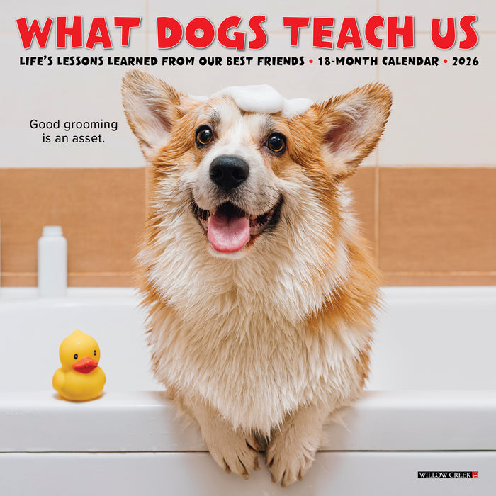 What Dogs Teach Us 2026 Mini Wall Calendar