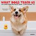 What Dogs Teach Us 2026 Mini Wall Calendar