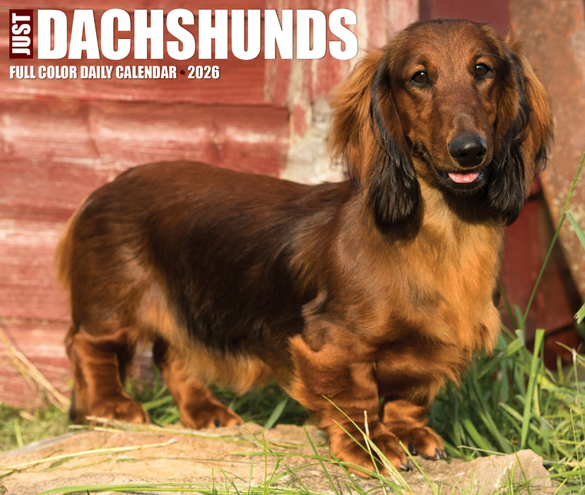 Dachshunds 2026 Page-A-Day Calendar