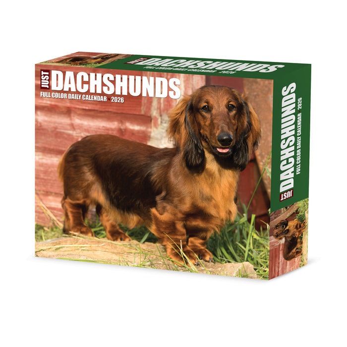 Dachshunds 2026 Page-A-Day Calendar