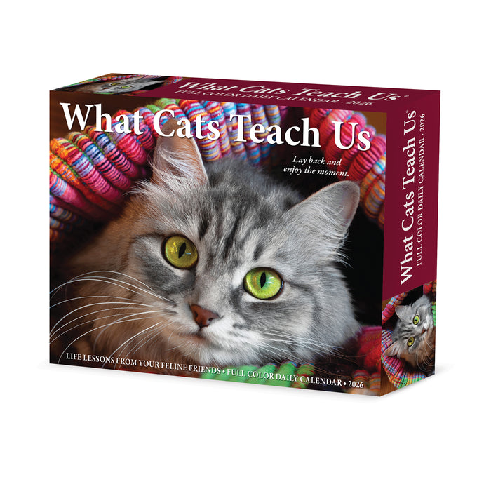 What Cats Teach Us 2026 Page-A-Day Calendar