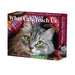 What Cats Teach Us 2026 Page-A-Day Calendar