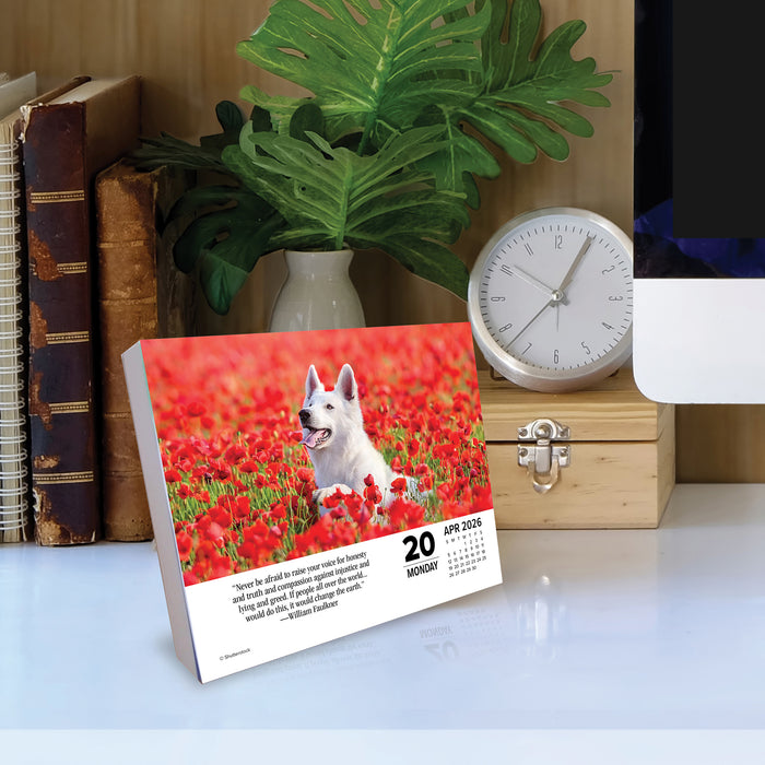 What Dogs Teach Us 2026 Page-A-Day Calendar