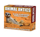 Animal Antics 2026 Page-A-Day Calendar