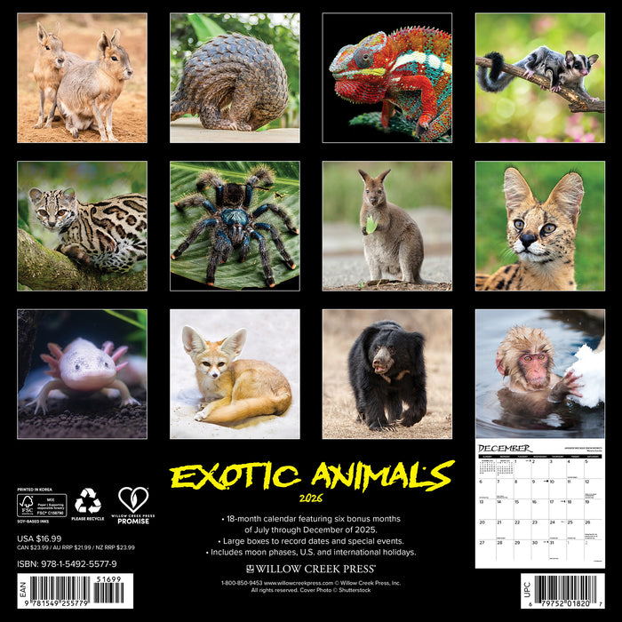 Exotic Animals 2026 Square Wall Calendar
