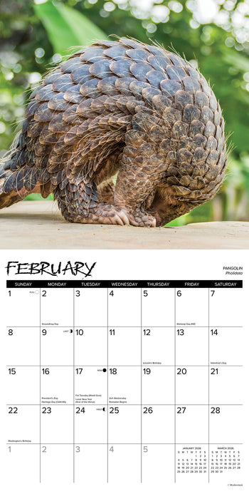 Exotic Animals 2026 Square Wall Calendar
