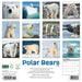 Polar Bears 2026 Square Wall Calendar