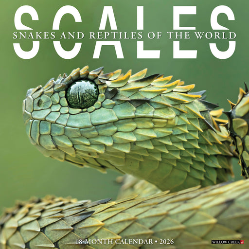 Scales 2026 Square Wall Calendar