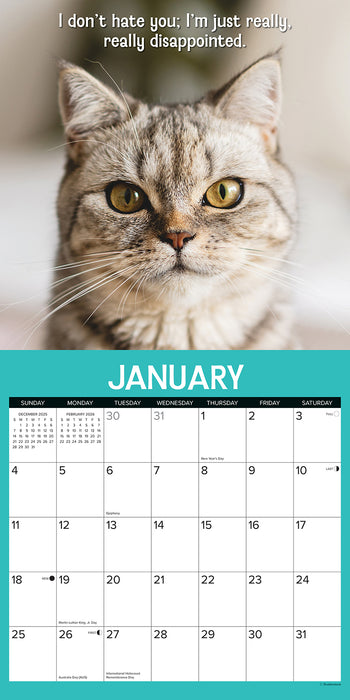Cattitudes 2026 Square Wall Calendar