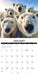 Animal Selfies 2027 Square Wall Calendar
