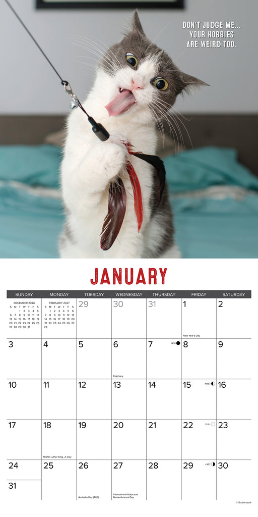 Bad Kitties 2027 Square Wall Calendar
