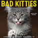 Bad Kitties 2027 Square Wall Calendar