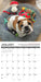 Bulldog Bad Boys 2027 Square Wall Calendar