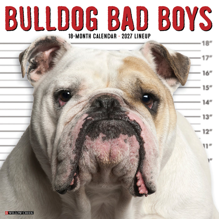 Bulldog Bad Boys 2027 Square Wall Calendar