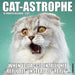 Catastrophe 2027 Square Wall Calendar