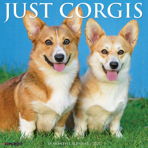 Corgis 2027 Square Wall Calendar
