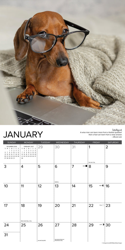 Dachshund Rules 2027 Square Wall Calendar