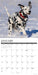 Dalmations Just 2027 Square Wall Calendar