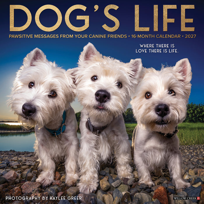 Dog s Life 2027 Square Wall Calendar