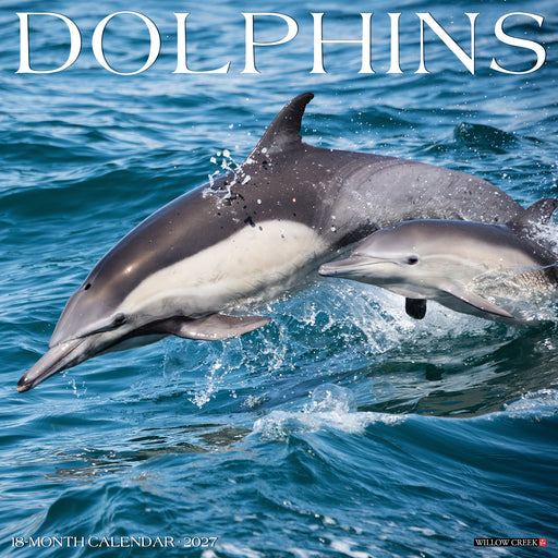 Dolphins 2027 Square Wall Calendar