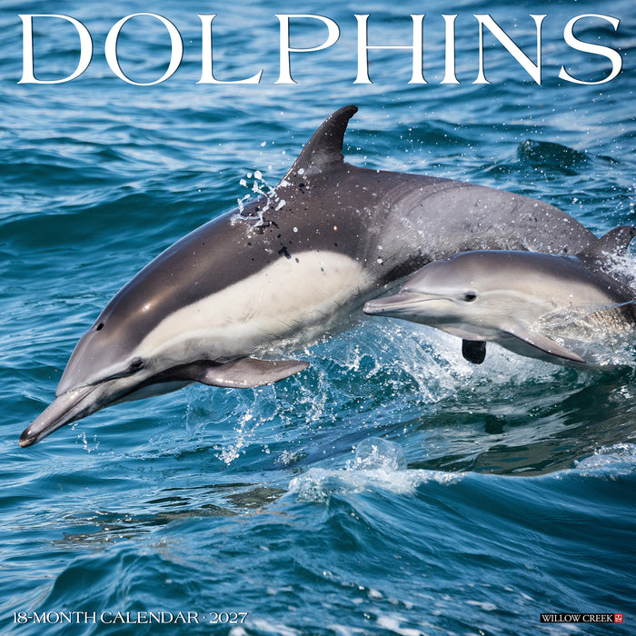 Dolphins 2027 Square Wall Calendar