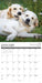 Golden Rules 2027 Square Wall Calendar