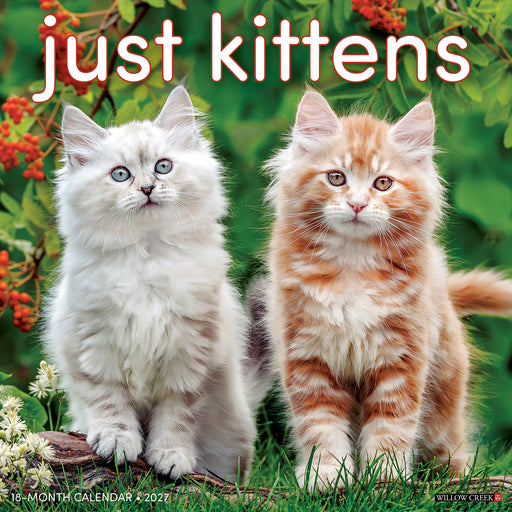 Kittens 2027 Square Wall Calendar