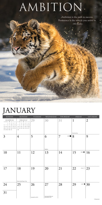 Motivationals 2027 Square Wall Calendar