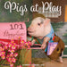 Pigs at Play 2027 Square Wall Calendar