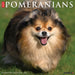 Pomeranians 2027 Square Wall Calendar