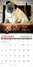 Pug Mugs 2027 Square Wall Calendar