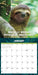 Sloth Mode 2027 Square Wall Calendar