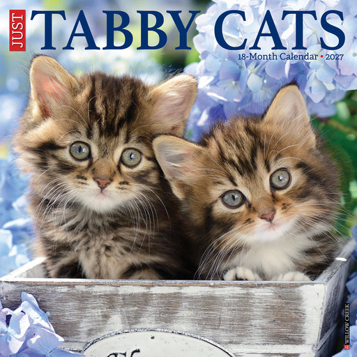 Tabby Cats 2027 Square Wall Calendar