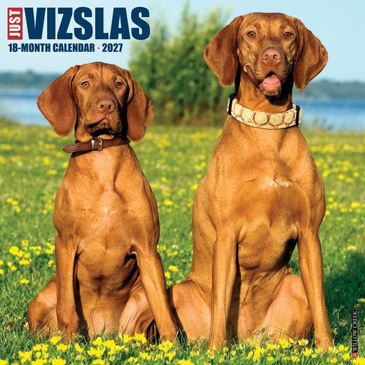 Vizslas 2027 Square Wall Calendar