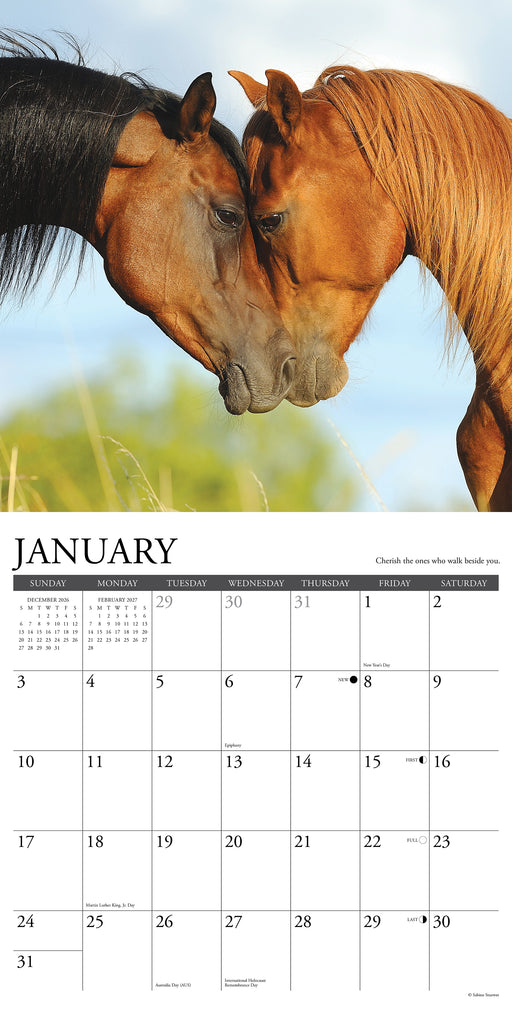 What Horses Teach Us 2027 Square Wall Calendar
