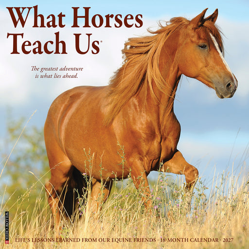 What Horses Teach Us 2027 Square Wall Calendar