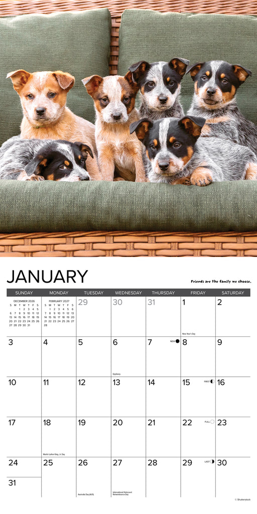 What Puppies Teach Us 2027 Square Wall Calendar
