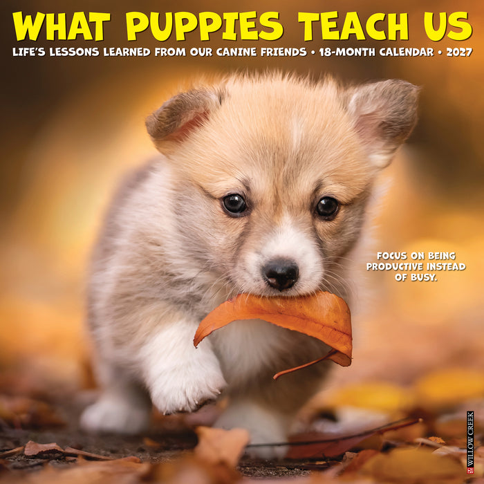 What Puppies Teach Us 2027 Square Wall Calendar