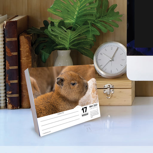 Baby Animals 2027 Page-A-Day Calendar