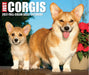 Corgis 2027 Page-A-Day Calendar