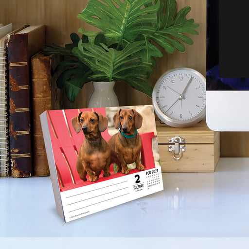 Dachshunds 2027 Page-A-Day Calendar