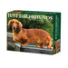 Dachshunds 2027 Page-A-Day Calendar