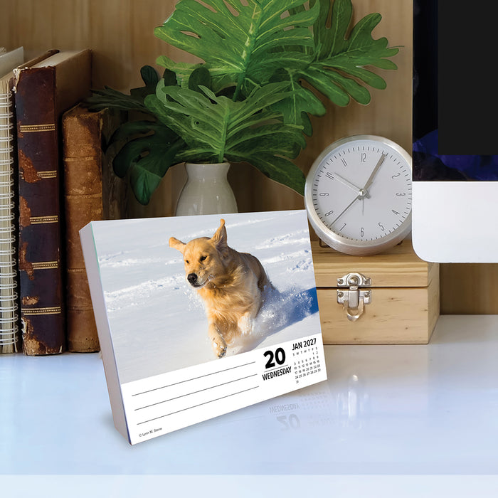 Goldens 2027 Page-A-Day Calendar
